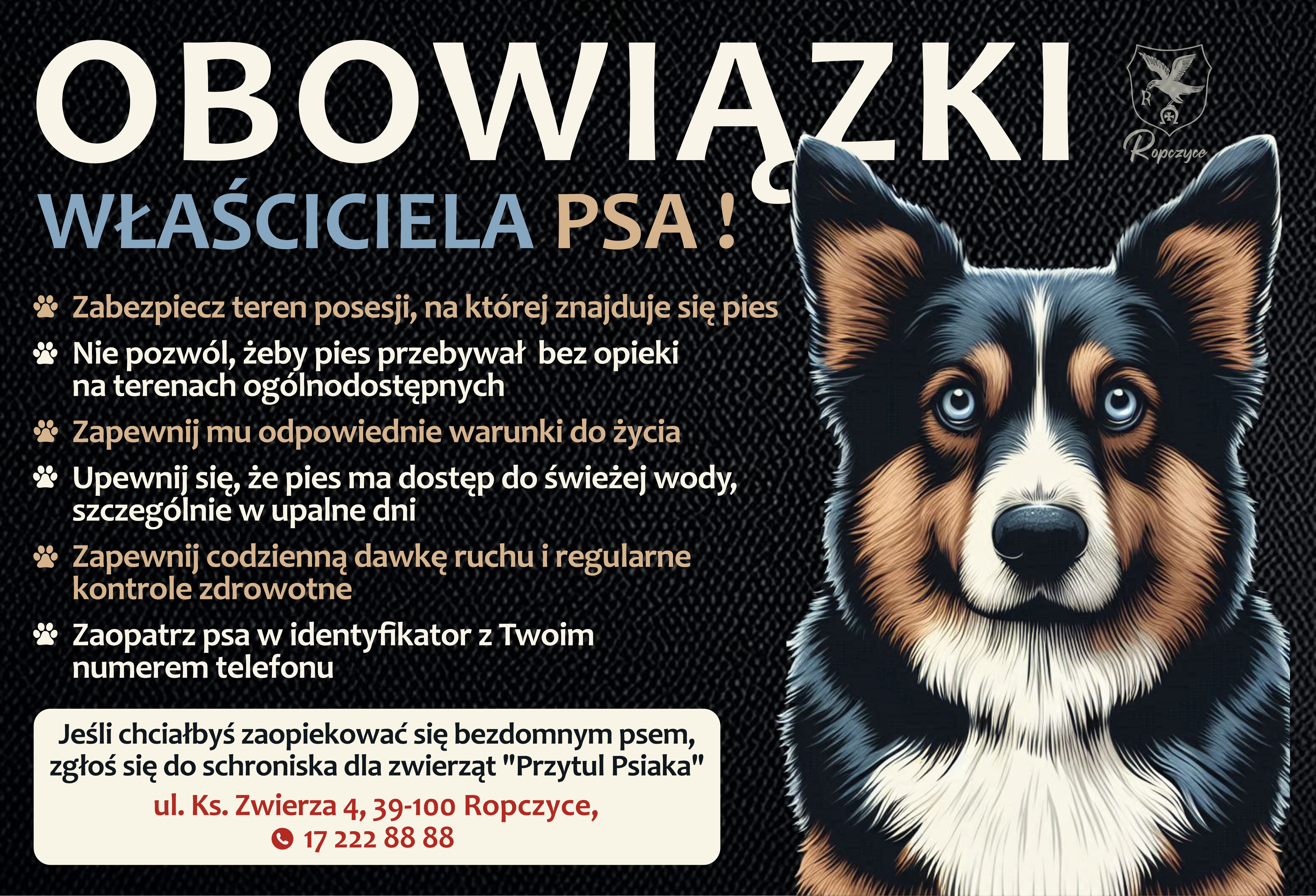 Obowiązki właściciela psa